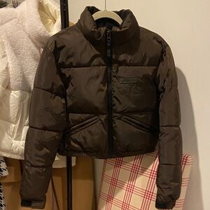 Urban Outfitters Dark Brown cropped Puffer Jacket